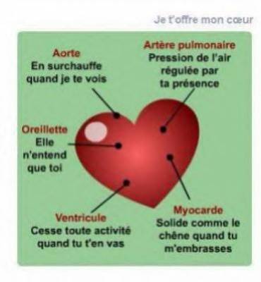 ci lol